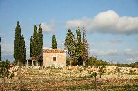 DSC04555.JPG