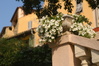 Idylle