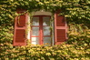 Fenster im Grünen